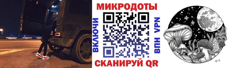 KRAKEN   Свирск  Псилоцибиновые грибы Psilocybe 